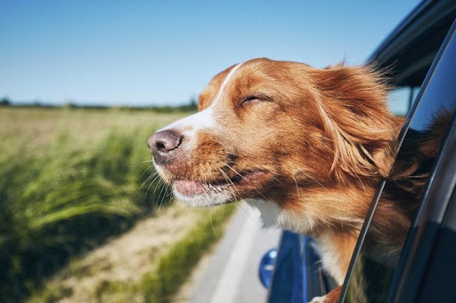 Winding down the windows instead of using air-con saves fuel on hot summer days